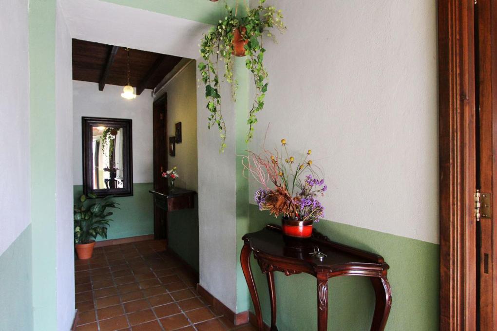 Casa Rural Los Aromos - Wunderschones Landhaus Mit Meerblick Hermigua Bagian luar foto